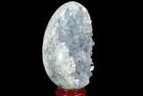Crystal Filled Celestine (Celestite) Egg Geode - Madagascar #98822-3